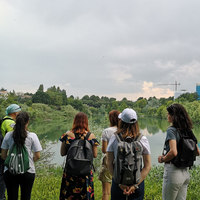 Rimini, Natura e Ambiente - in ITALIANO