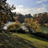 Rimini, Natura e Ambiente - in ITALIANO Rimini, Natura e Ambiente - in ITALIANO