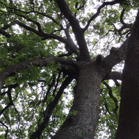 Rimini, Natura e Ambiente - in ITALIANO