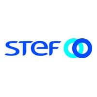 Logo STEF