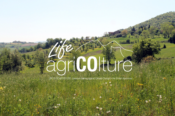 Life agriCOlture