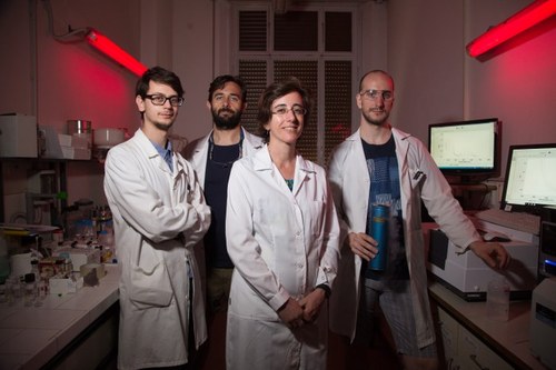 Gruppo di ricercatori e dottorandi in laboratorio che lavorano insieme