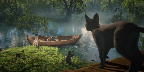 Immagine di un gatto nero in una palude.