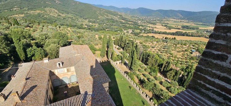 View from the tower