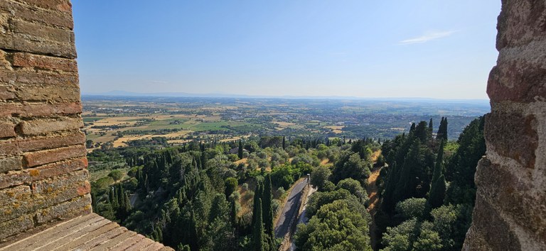 View from the tower