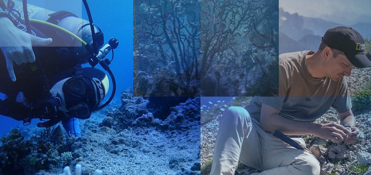 Quali segreti nascondono gli oceani? Un mondo sommerso di meraviglie e foreste di coralli con un ruolo fondamentale per il Pianeta. Grazie a geologia, ingegneria robotica, biologia marina e alle scoperte dei ricercatori delle università italiane in collaborazione con National Geographic, scopriremo come salvaguardare questo enorme patrimonio marino recuperando l'antico equilibrio tra Uomo e Natura. Quali segreti nascondono gli oceani? Un mondo sommerso di meraviglie e foreste di coralli con un ruolo fondamentale per il Pianeta. Grazie a geologia, ingegneria robotica, biologia marina e alle scoperte dei ricercatori delle università italiane in collaborazione con National Geographic, scopriremo come salvaguardare questo enorme patrimonio marino recuperando l'antico equilibrio tra Uomo e Natura.