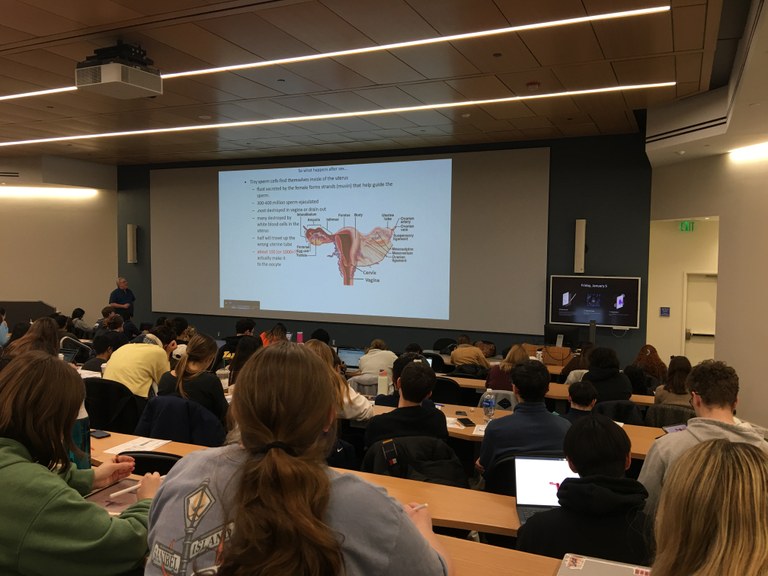 Steroid Hormones in Physiology - lecture by John Waters