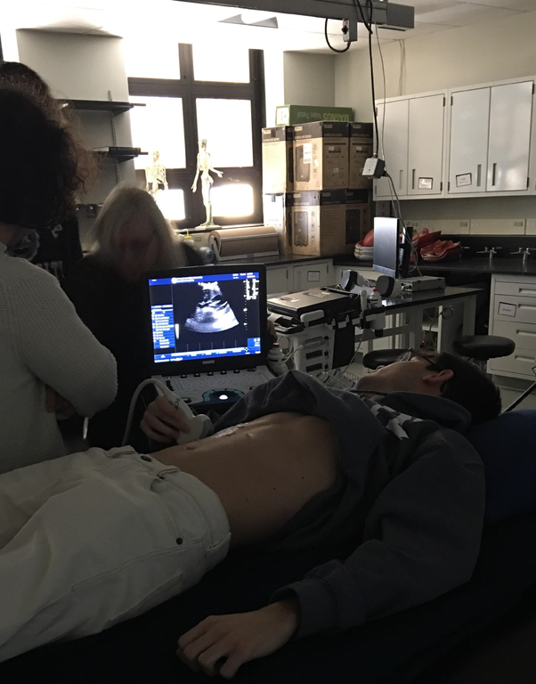 A training session on abdominal and thoracic ultrasound by Danielle Hall