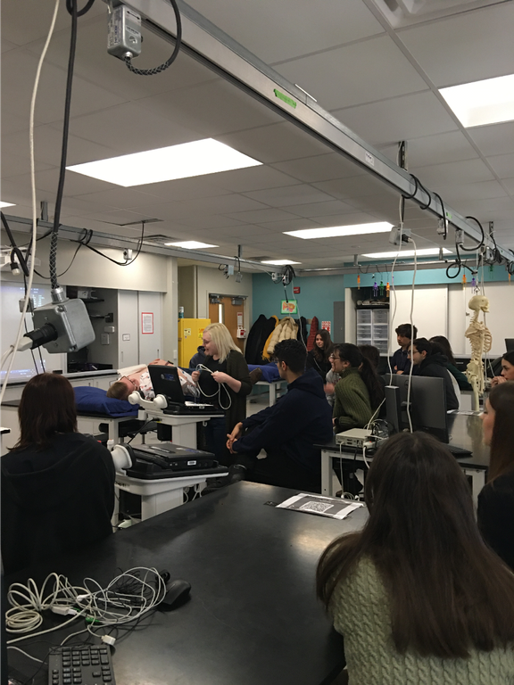 A training session on abdominal and thoracic ultrasound by Danielle Hall