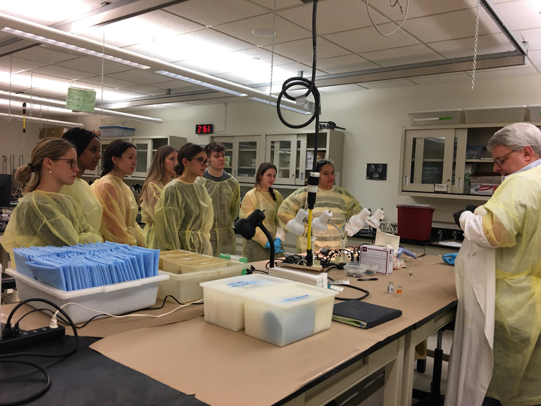 Hands, Minds, and Forceps in Harmony