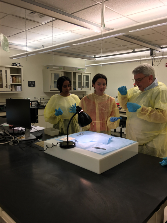 Hands, Minds, and Forceps in Harmony