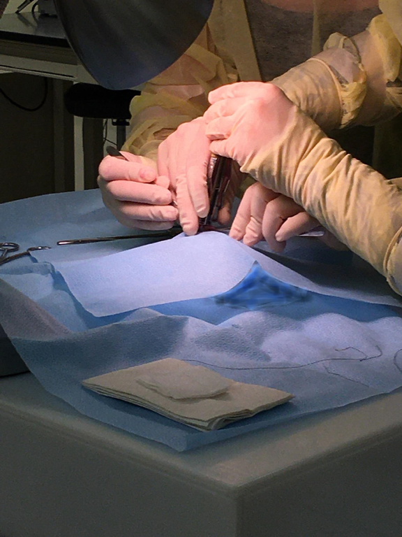 Hands, Minds, and Forceps in Harmony