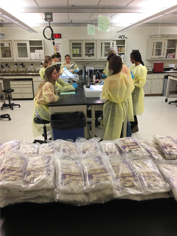 Hands, Minds, and Forceps in Harmony