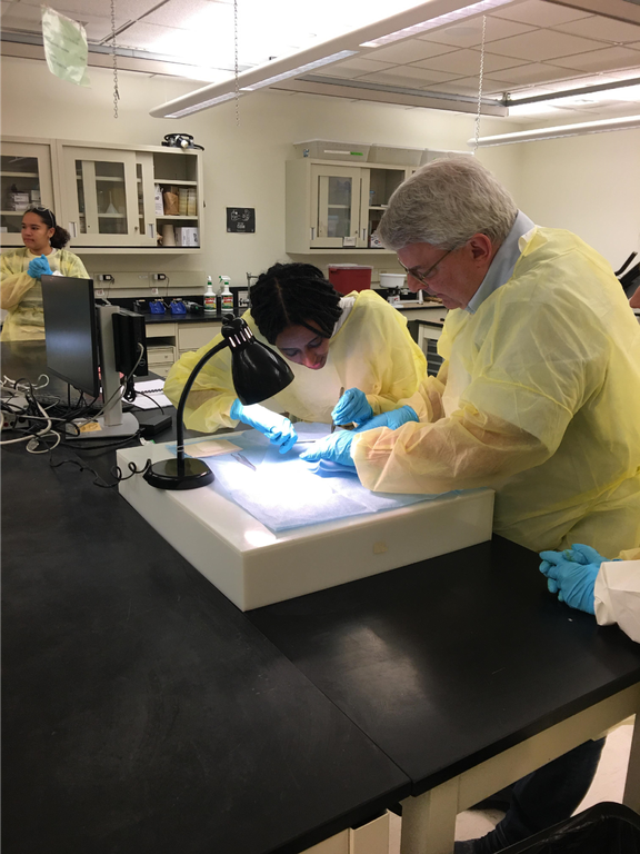 Hands, Minds, and Forceps in Harmony