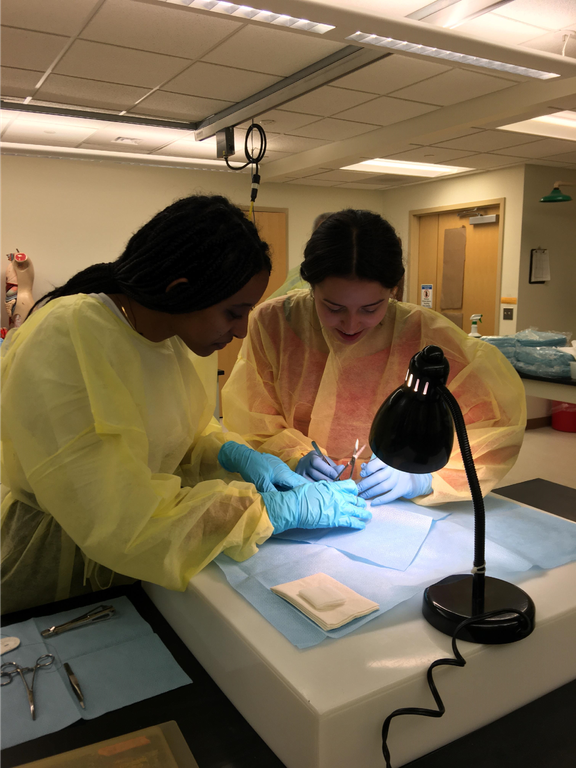 Hands, Minds, and Forceps in Harmony