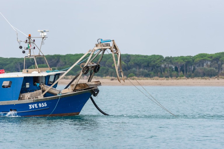 PRIZEFISH - Piloting of eco-innovative fishery supply-chains to market added-value Adriatic fish products